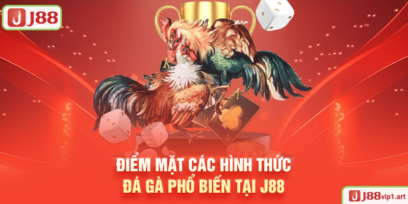 Điểm Mặt Các Hình Thức Đá Gà Phổ Biến Tại J88